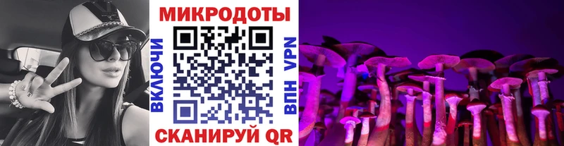 Псилоцибиновые грибы Psilocybe  наркошоп  Пестово 